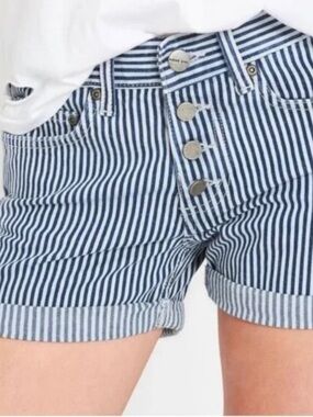 Anine Bing Railroad Stripe Cuffed Shorts